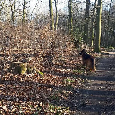 Helles Dachgeschoss-appartement * Крефельд