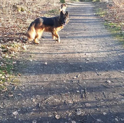 Apartmán Helles Dachgeschoss-appartement Krefeld