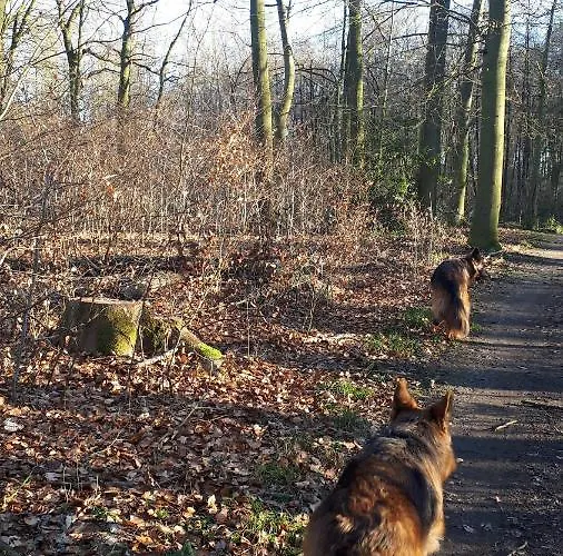 Helles Dachgeschoss-appartement Apartmán Krefeld